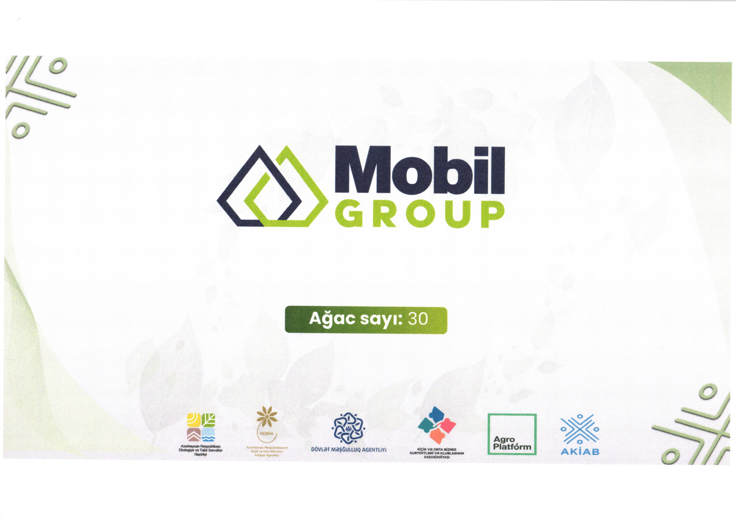 Mobil Group